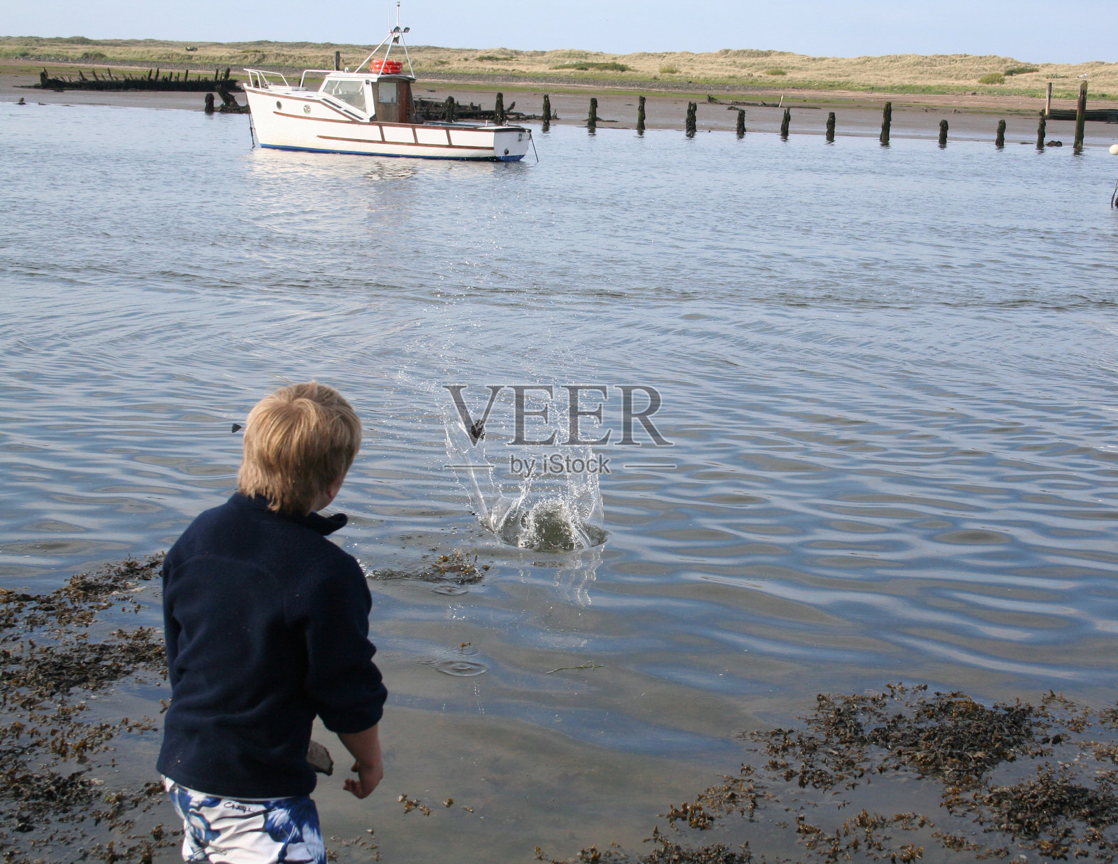 略读照片摄影图片