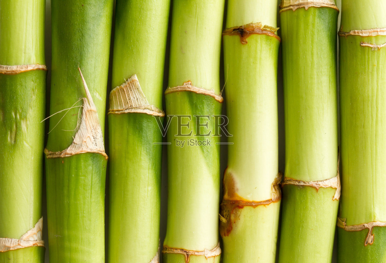 竹子的背景照片摄影图片