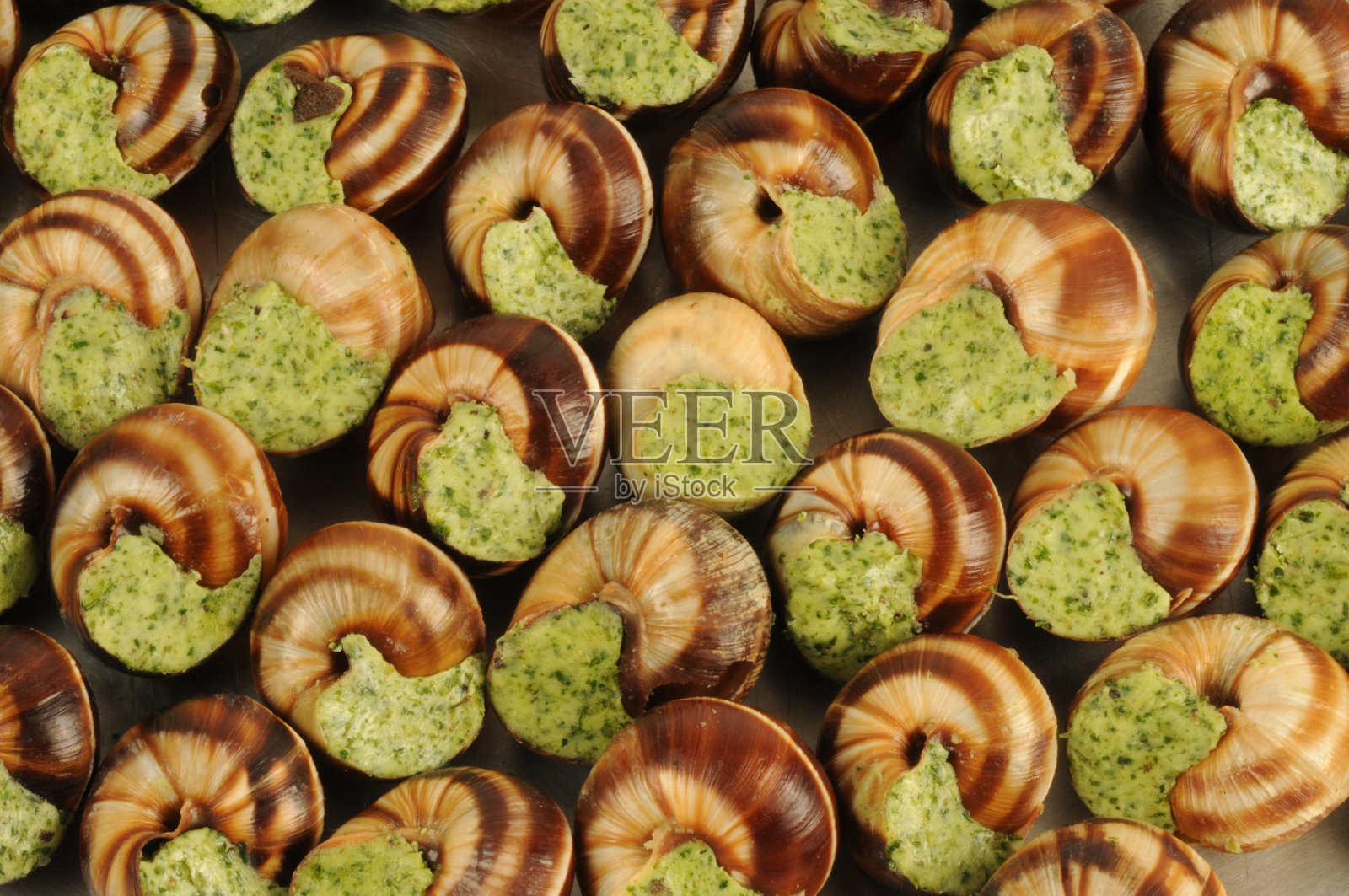 勃艮第蜗牛照片摄影图片