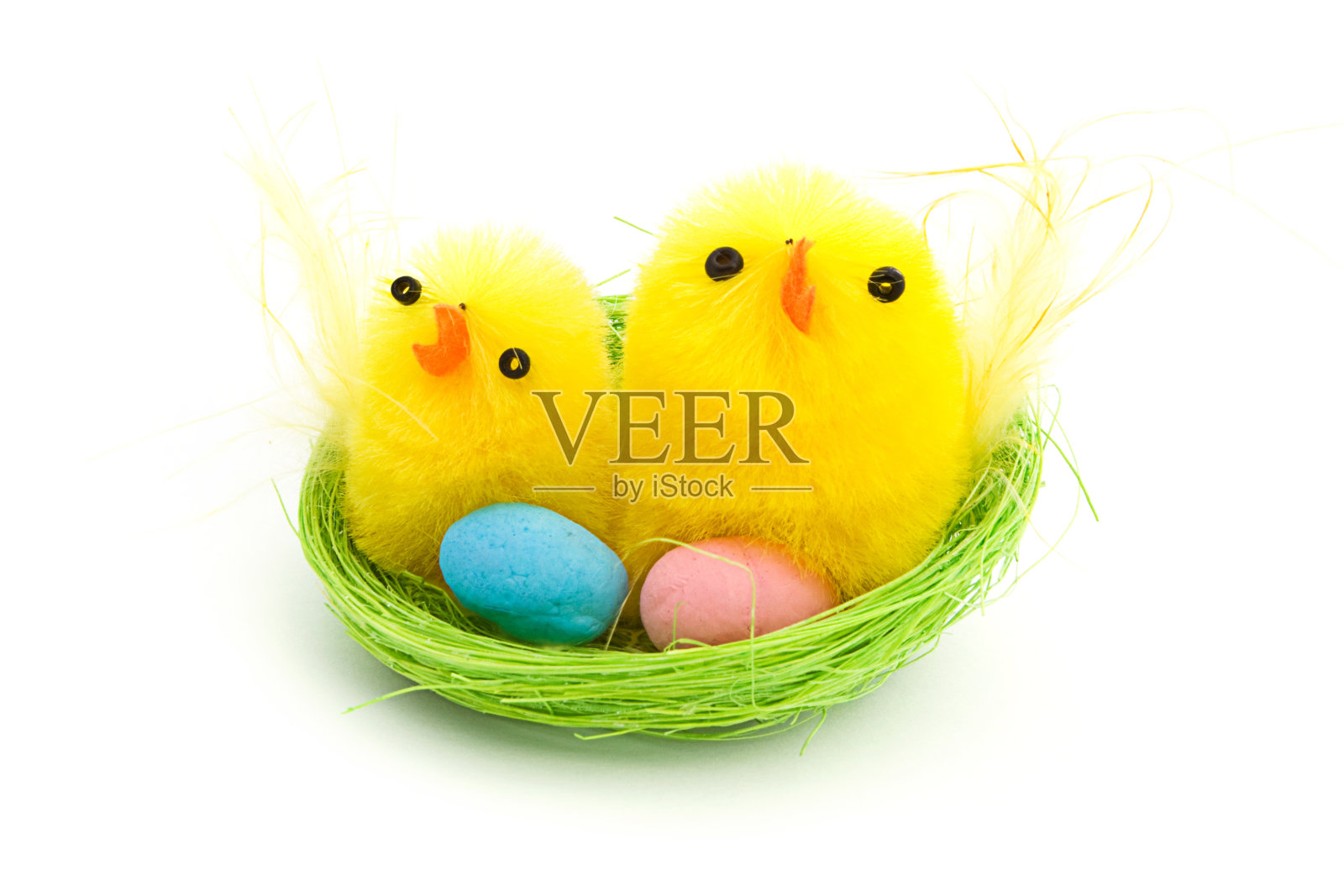 窝里的两只复活节小鸡照片摄影图片