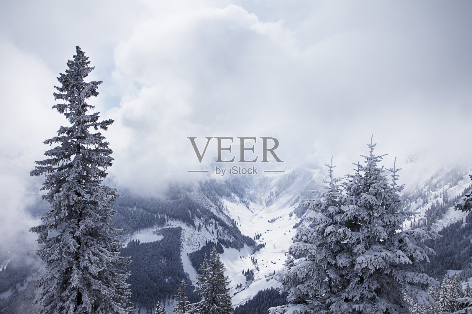 奥地利阿尔卑斯山脉的浓雾照片摄影图片