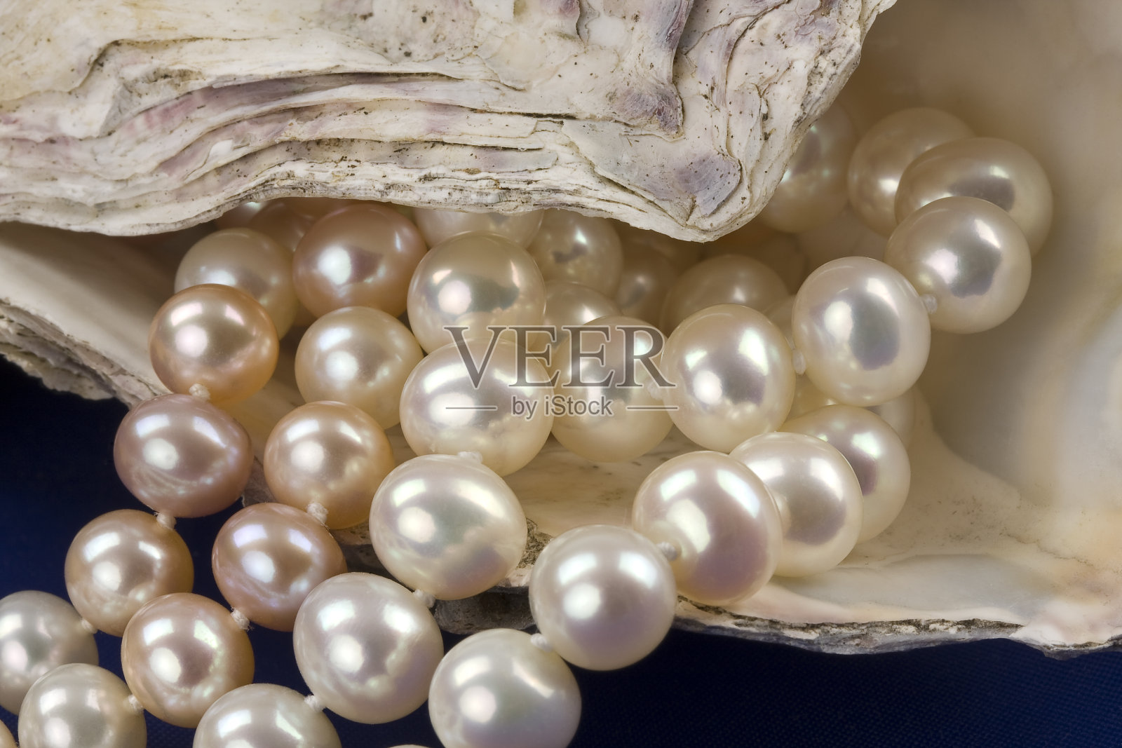 珍珠项链照片摄影图片
