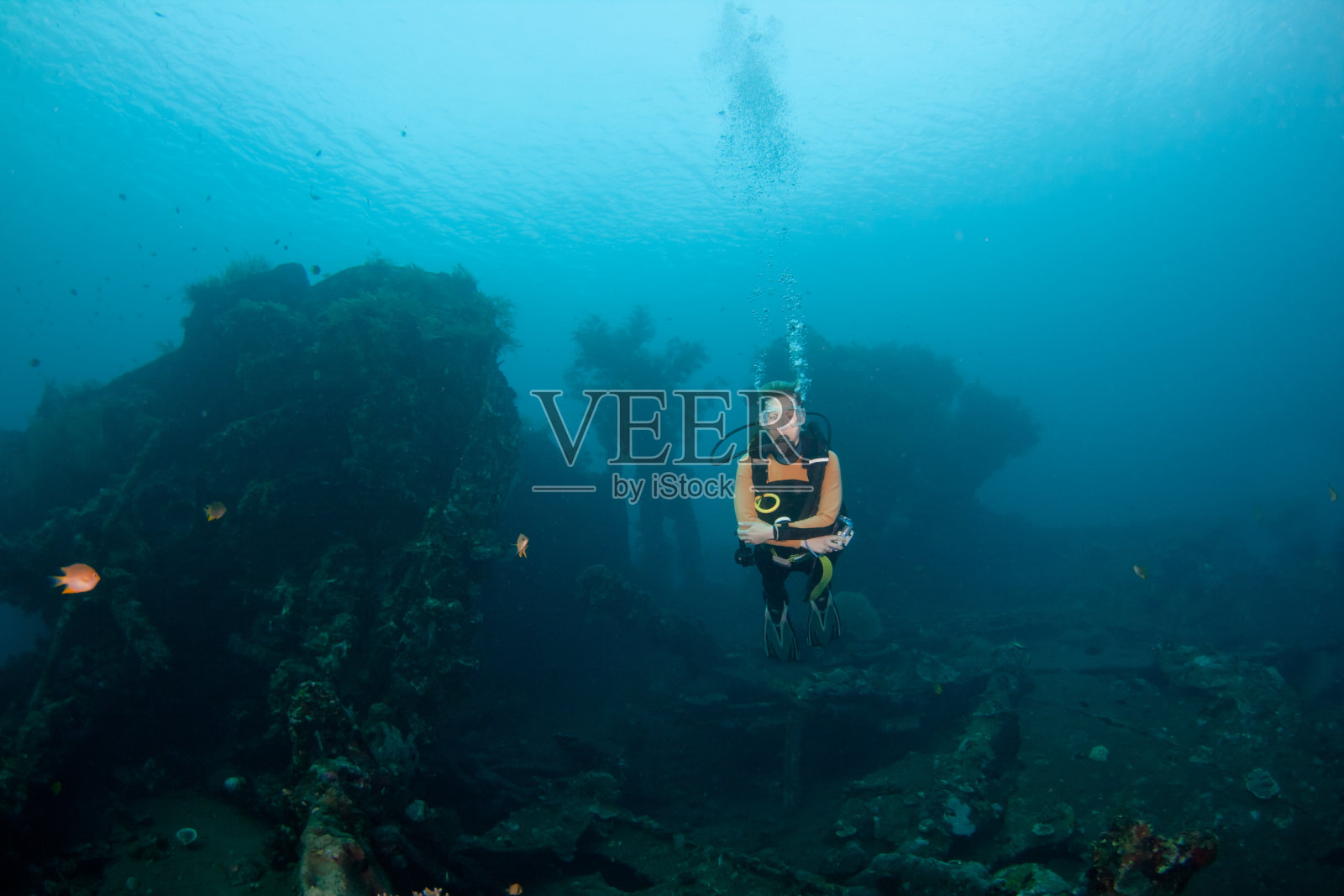潜水员和破坏照片摄影图片