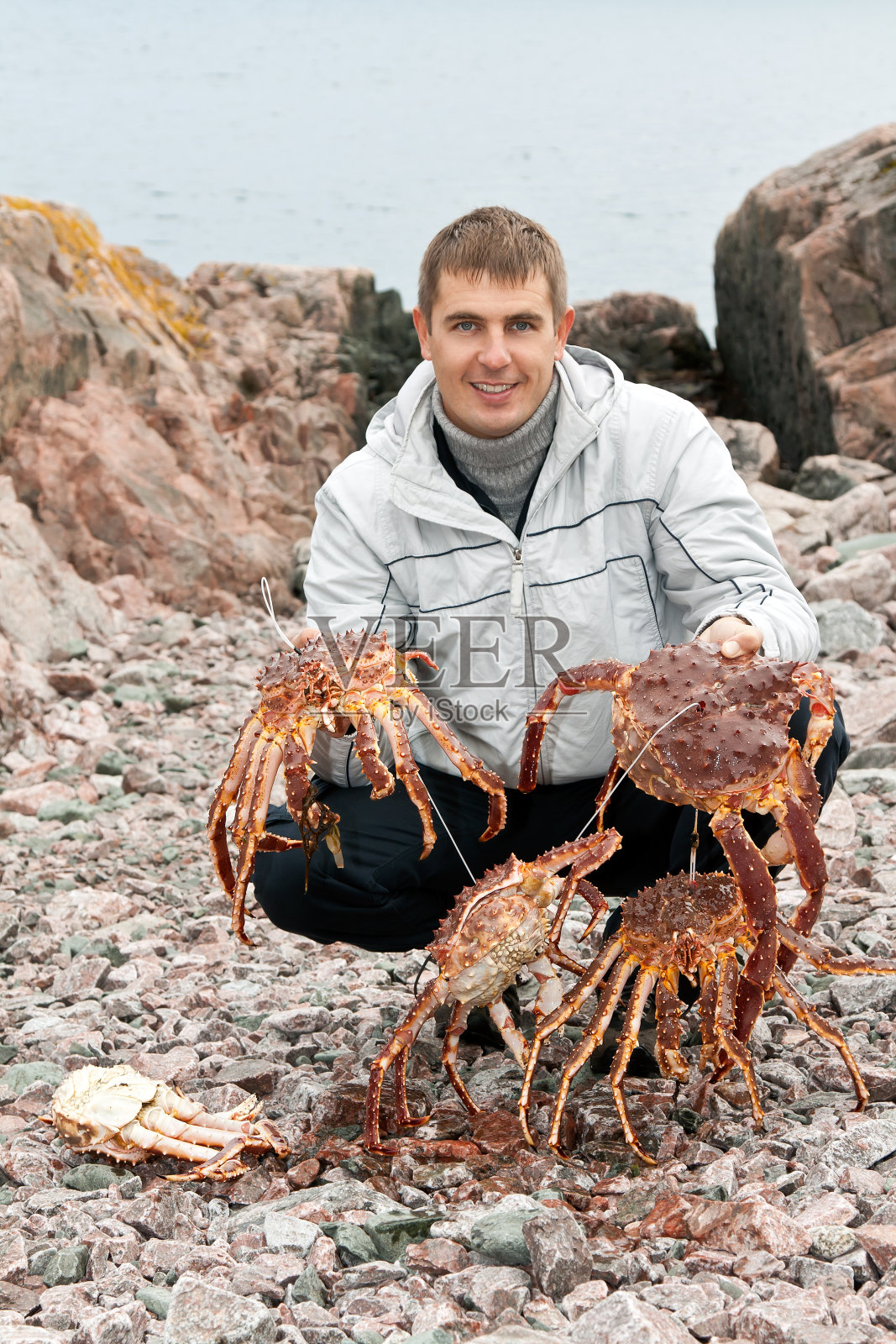 巴伦支海岸的螃蟹照片摄影图片