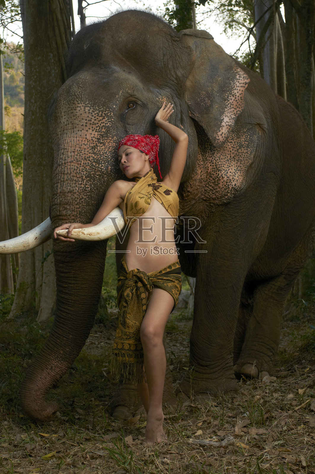亚洲美女与友好的大象照片摄影图片