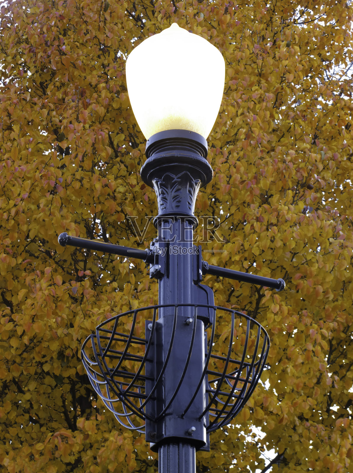 秋天的城市路灯照片摄影图片