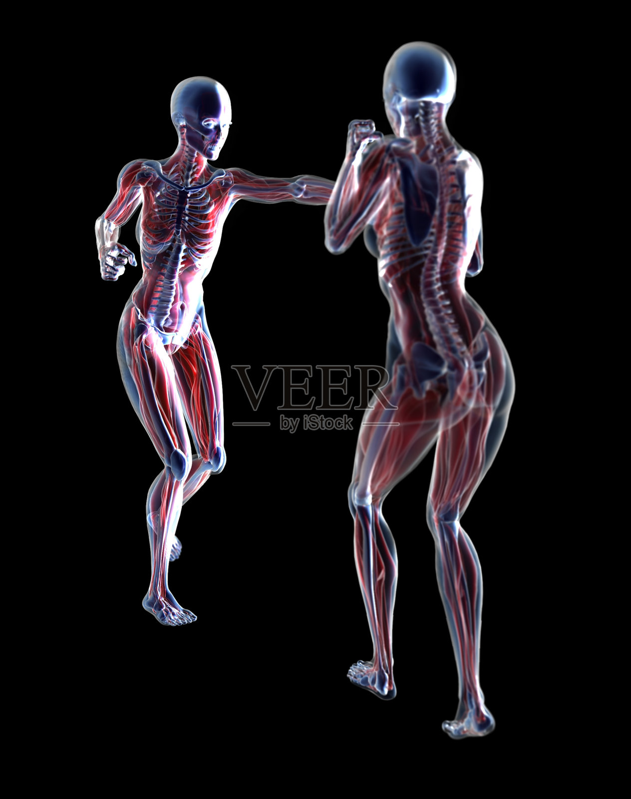 x射线的战斗照片摄影图片