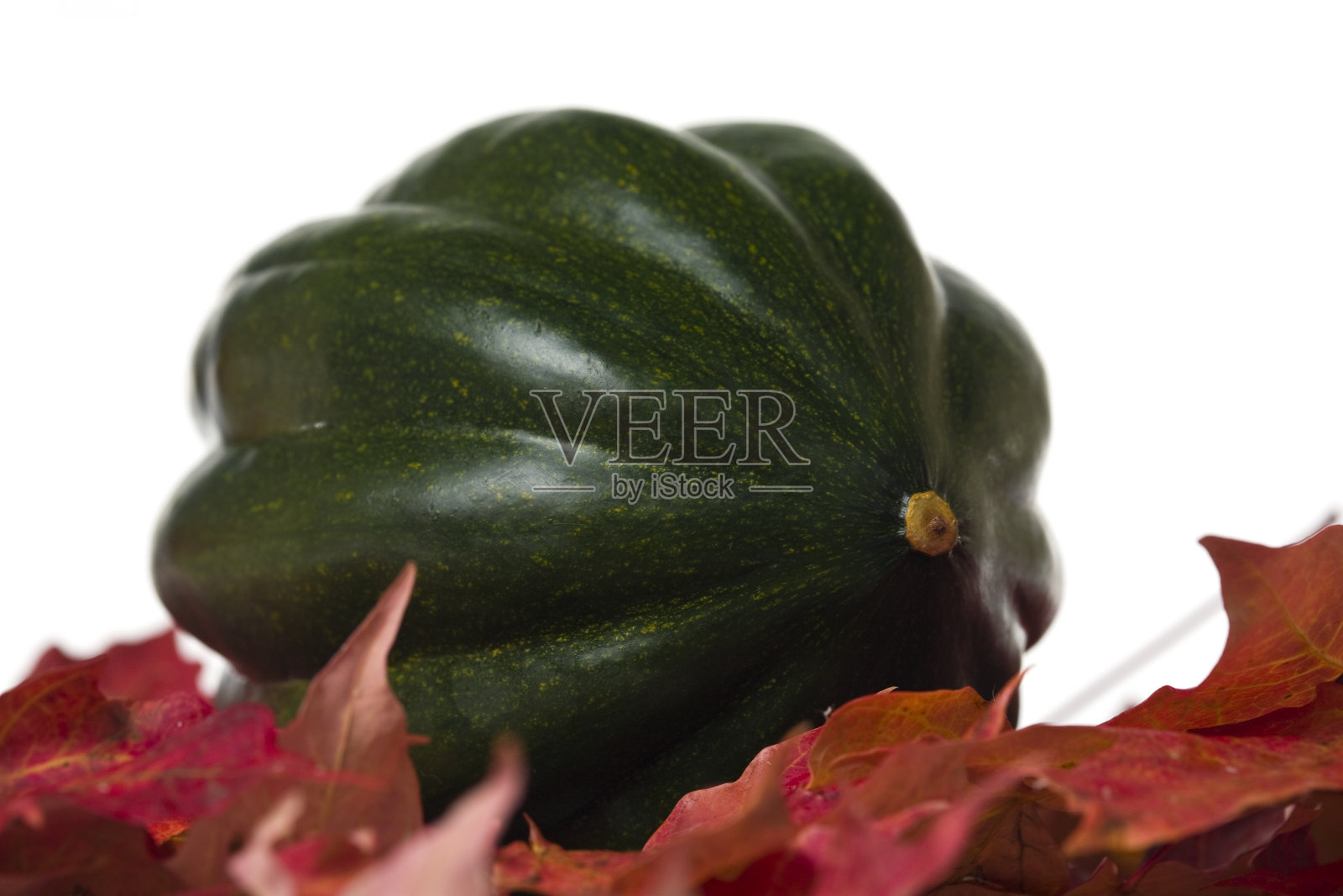 小青南瓜照片摄影图片