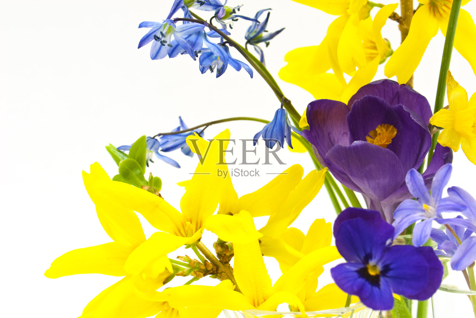 春天的鸡尾酒照片摄影图片