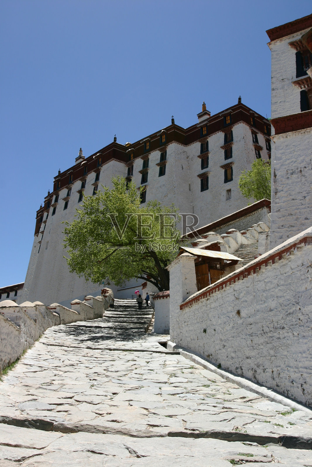 布达拉宫照片摄影图片