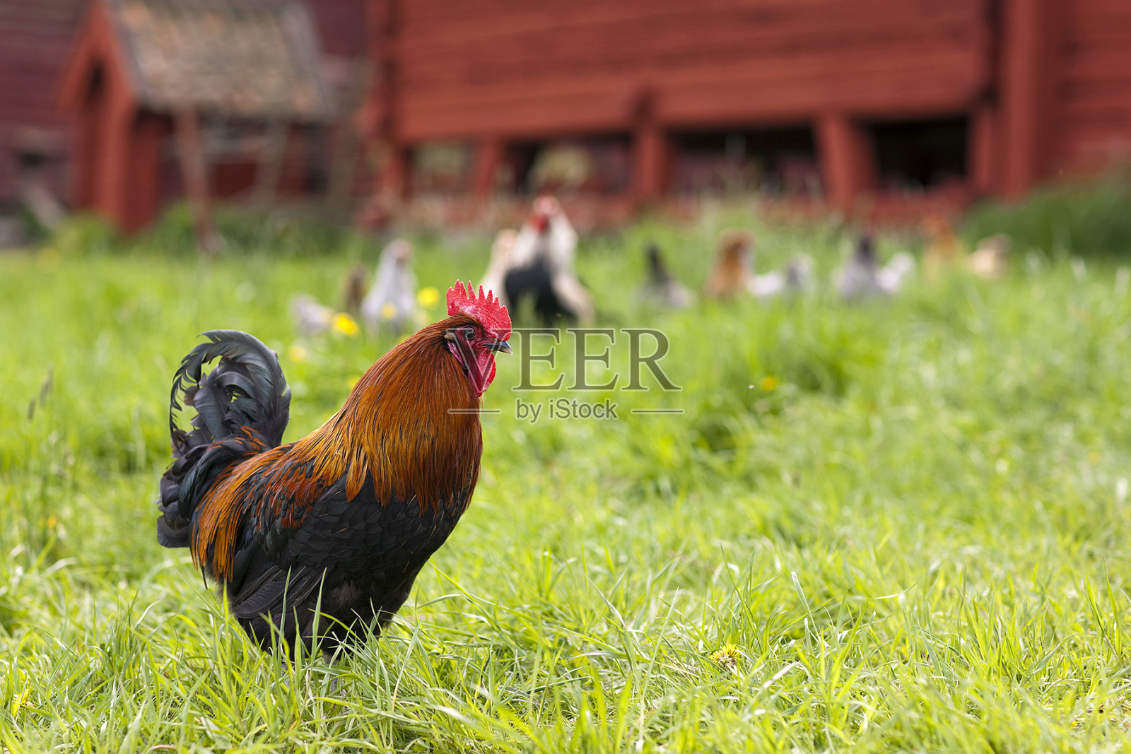 旋塞照片摄影图片