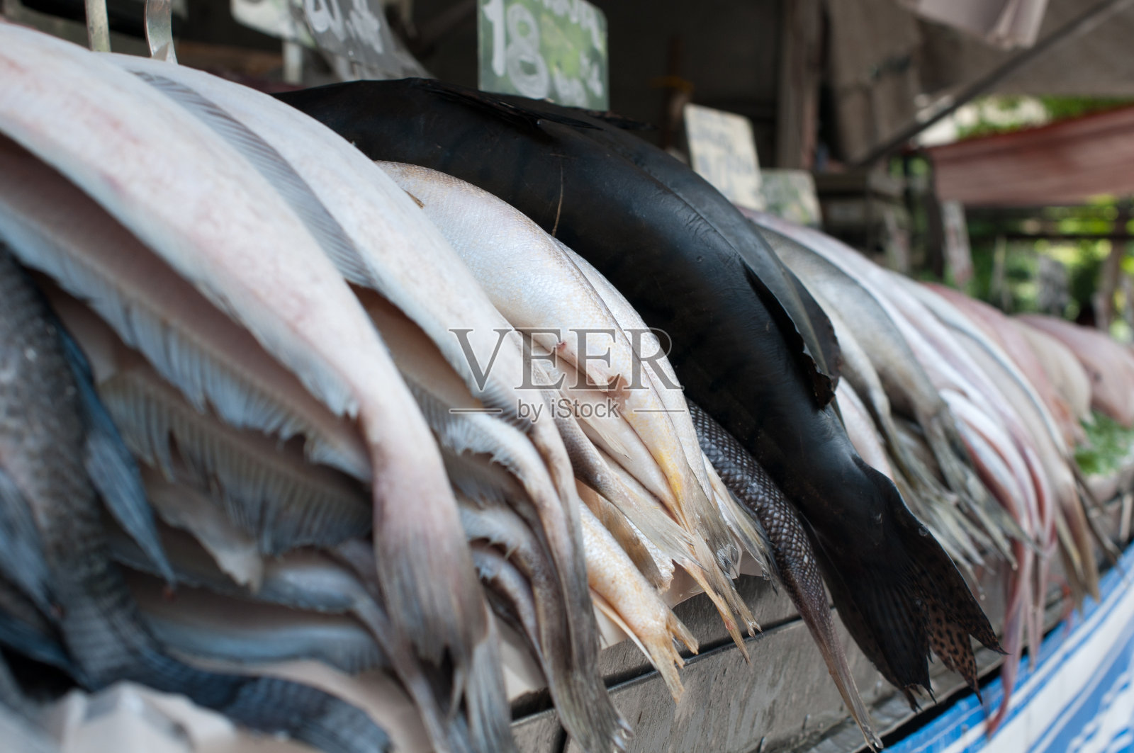 本地市场的鲜鱼照片摄影图片