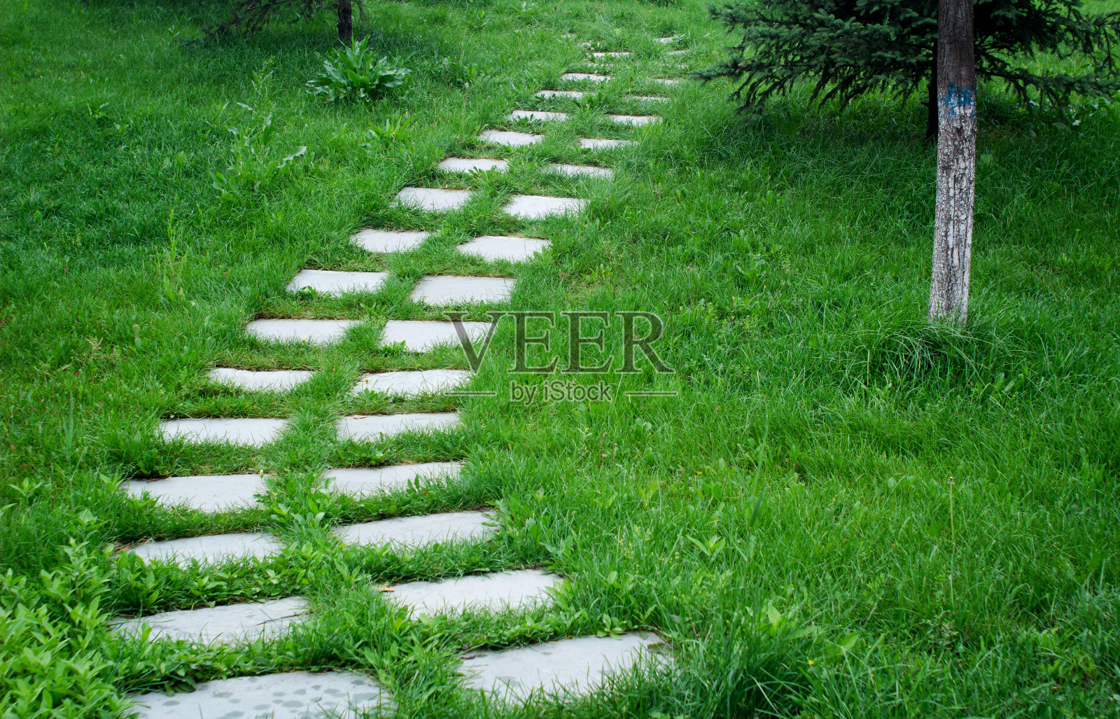 石板路照片摄影图片