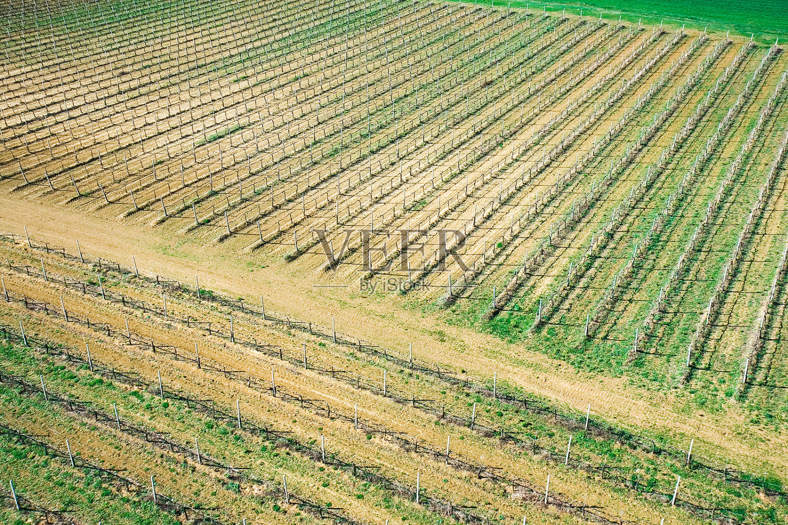 葡萄园鸟瞰图照片摄影图片