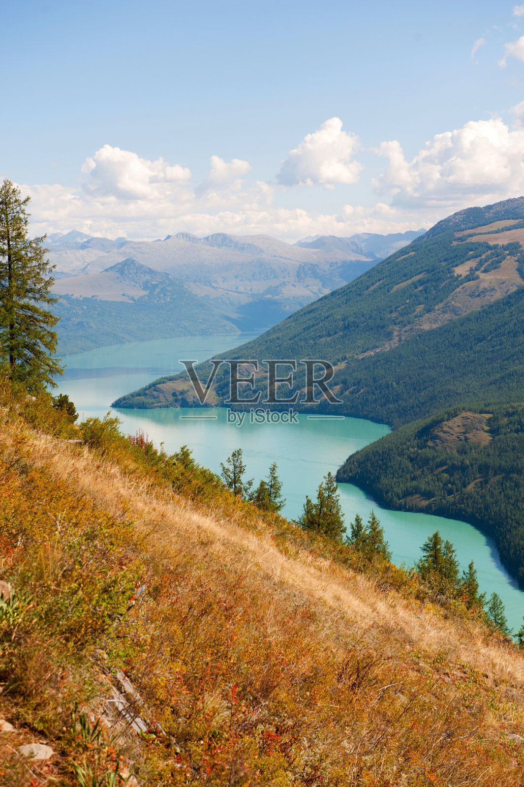 喀纳斯湖的感觉照片摄影图片