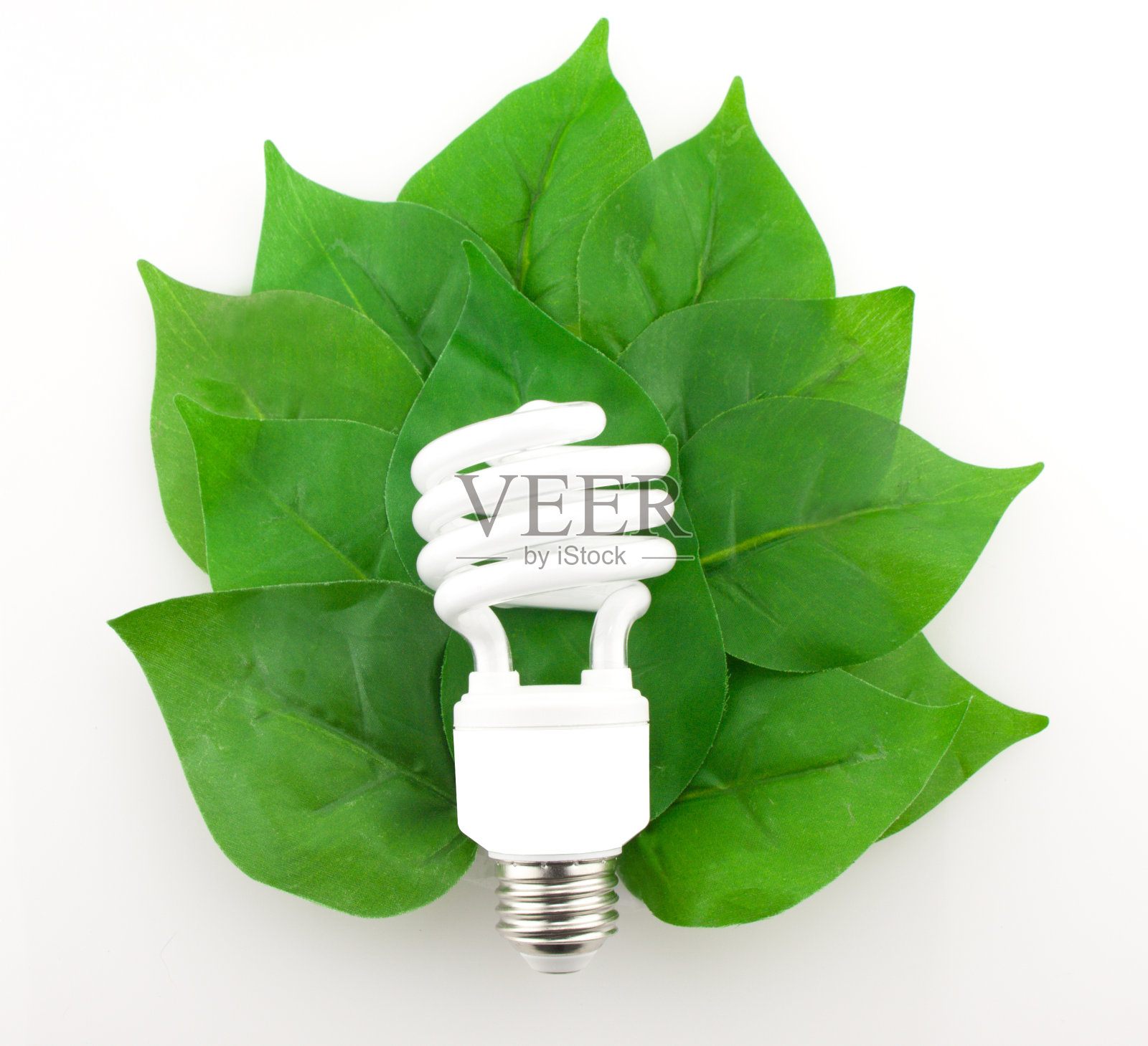 走向绿色照片摄影图片