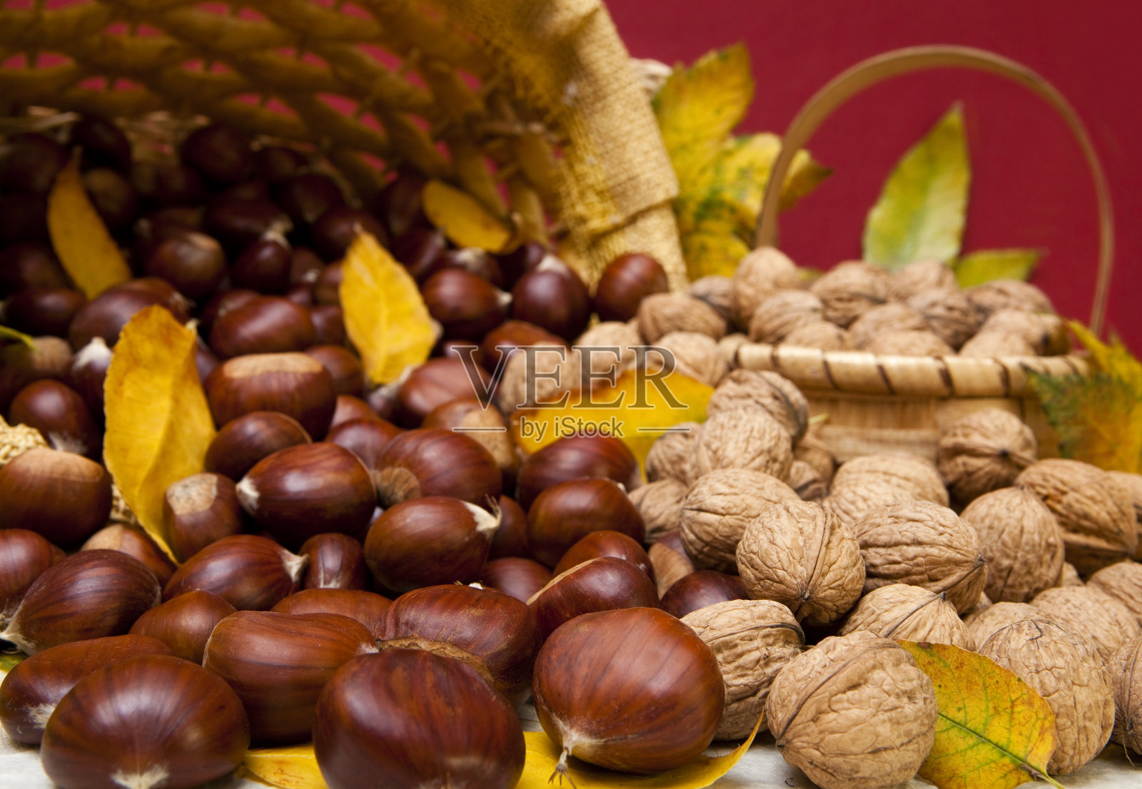 秋天照片摄影图片