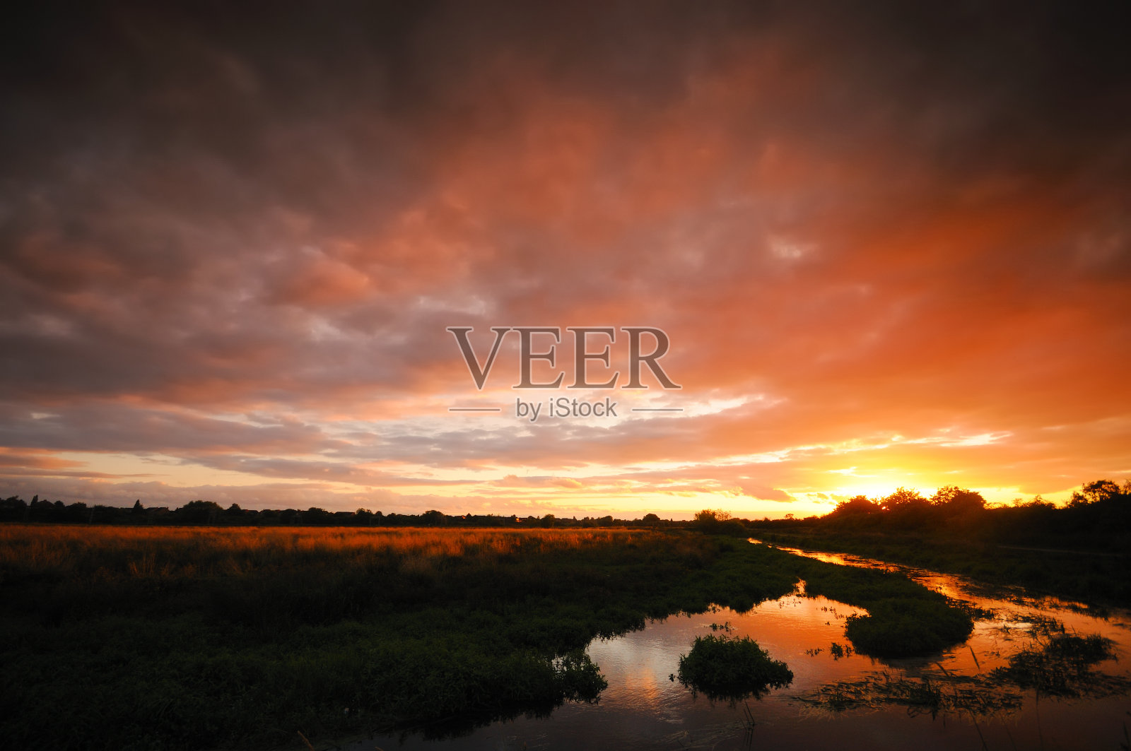 沼泽地日落照片摄影图片