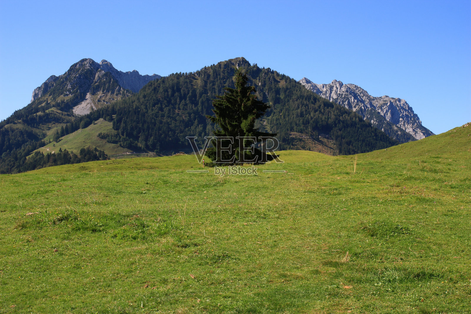 山中的风景照片摄影图片