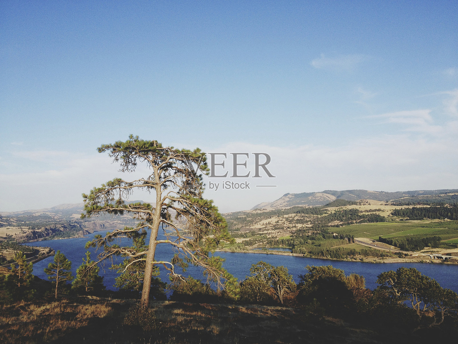 哥伦比亚河峡谷照片摄影图片