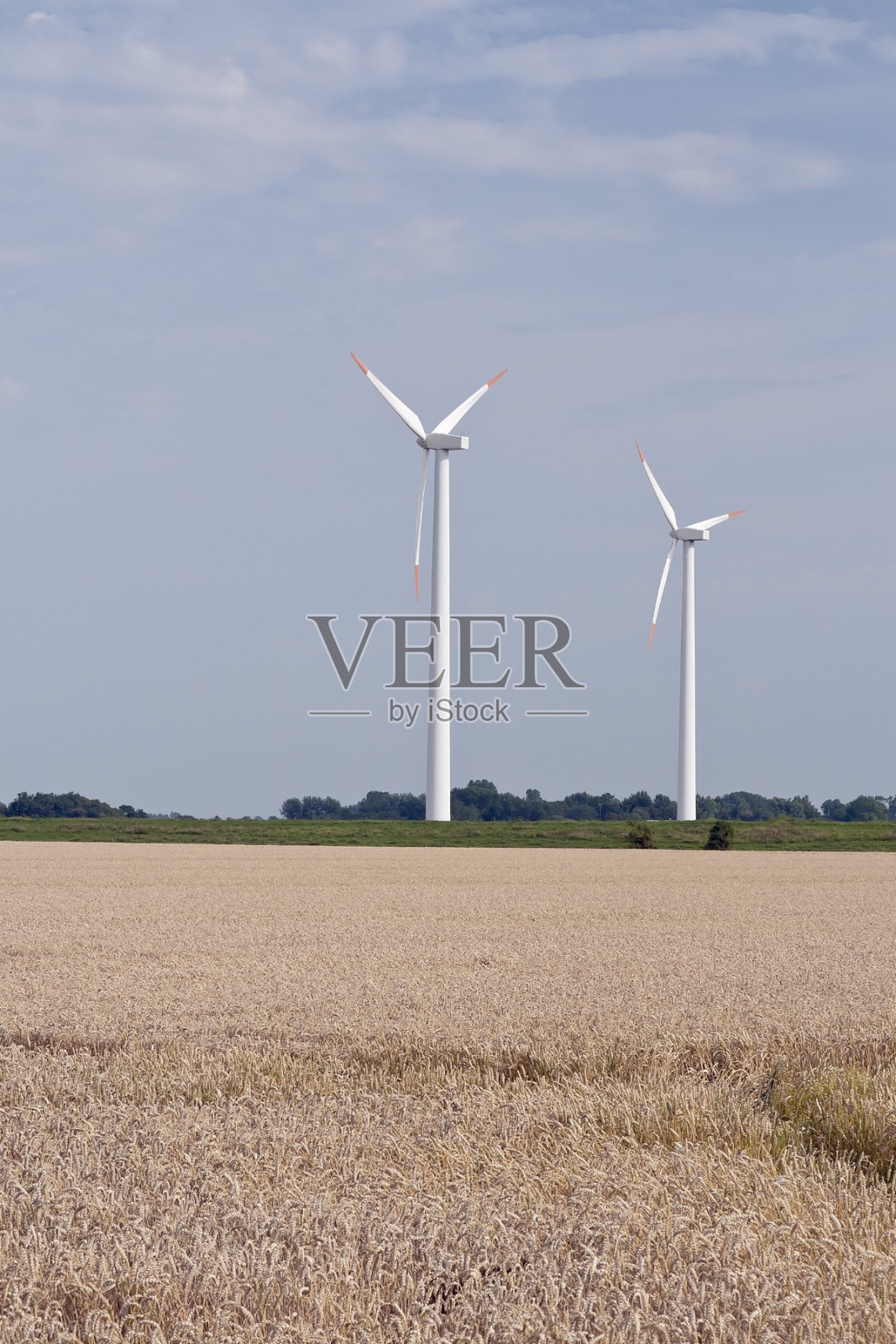 玉米地里的风车照片摄影图片