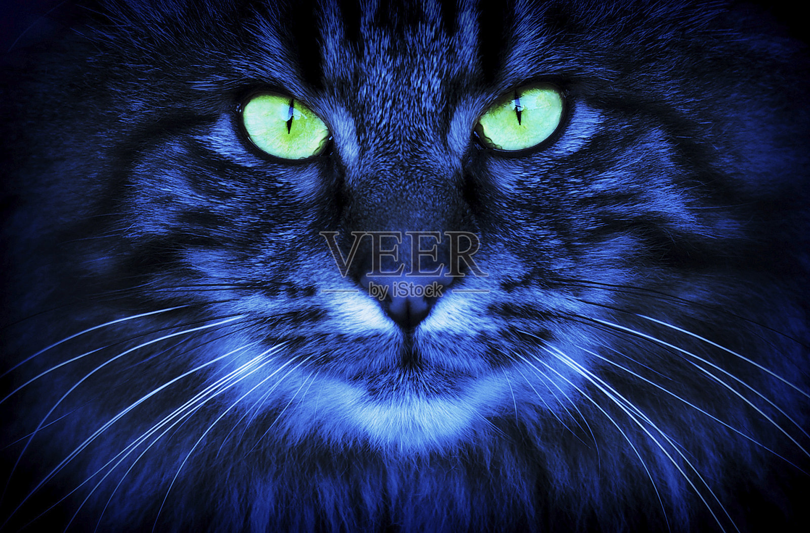 夜晚照片摄影图片