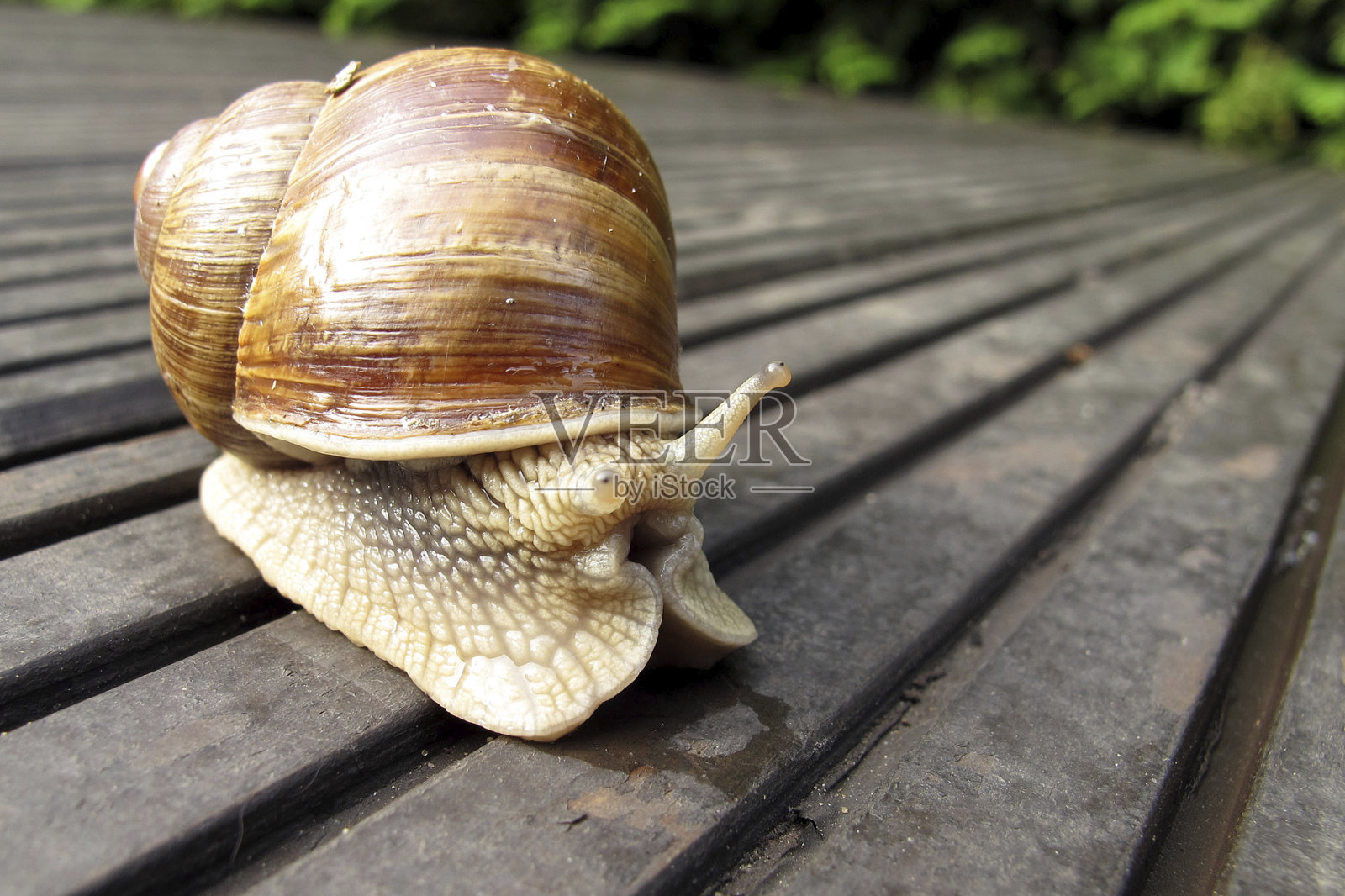 速度照片摄影图片