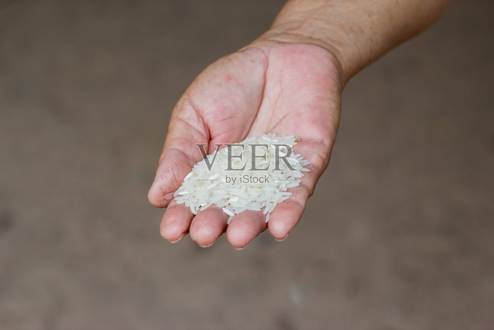 泰国香米。照片摄影图片