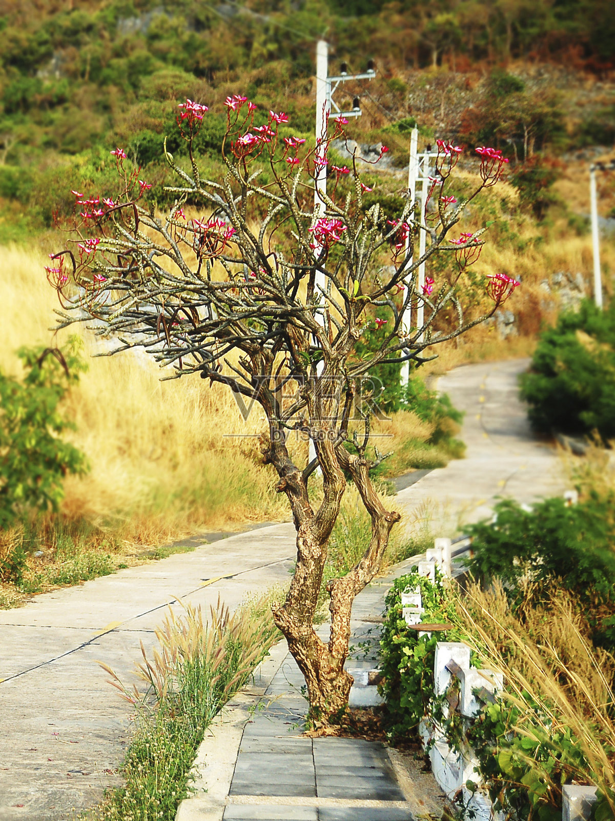 通路照片摄影图片