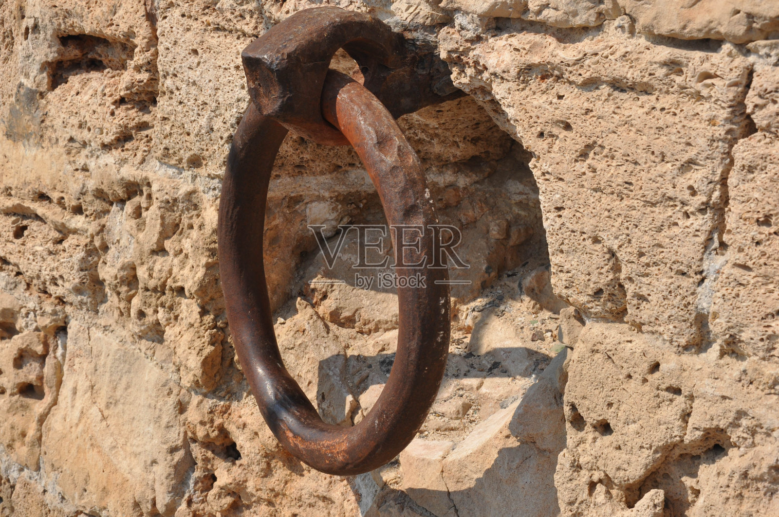 环马照片摄影图片