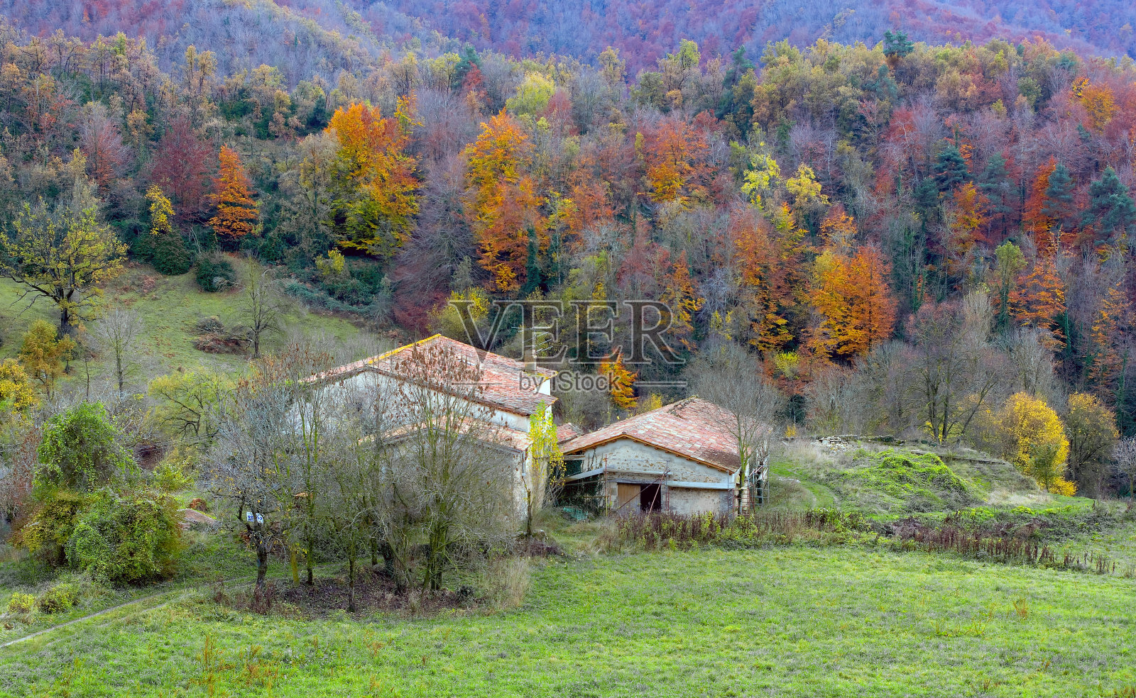 典型的秋天景色照片摄影图片