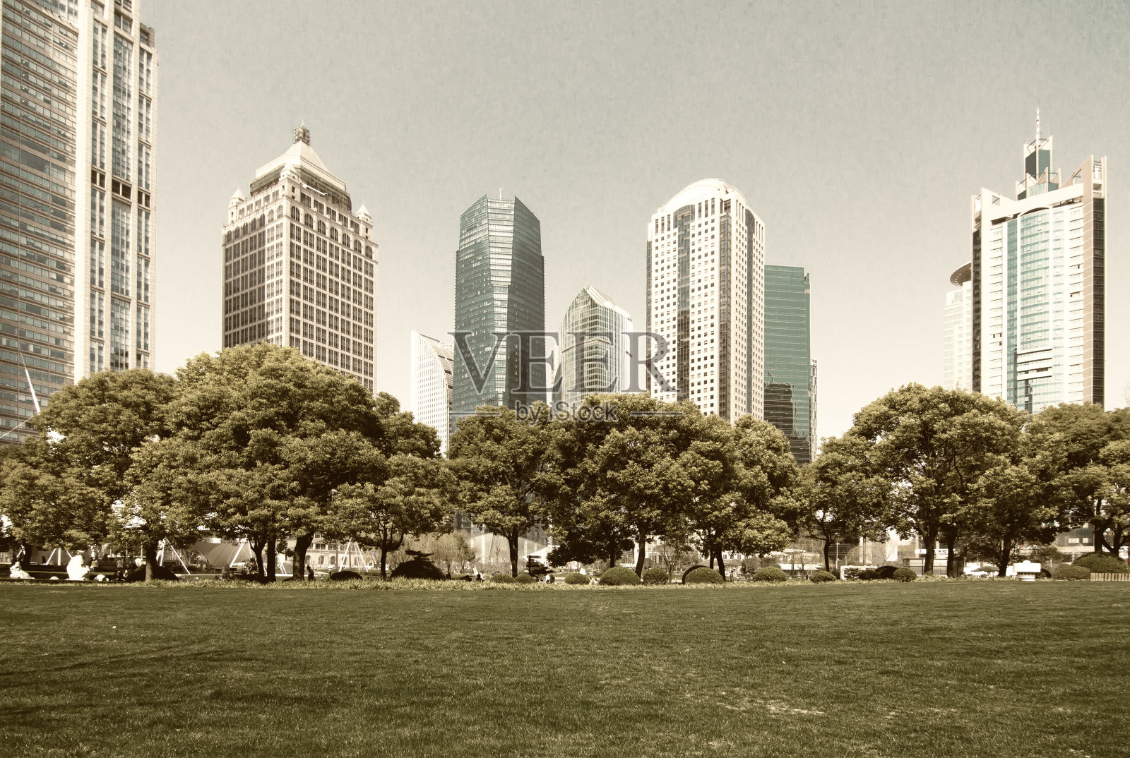 上海照片摄影图片