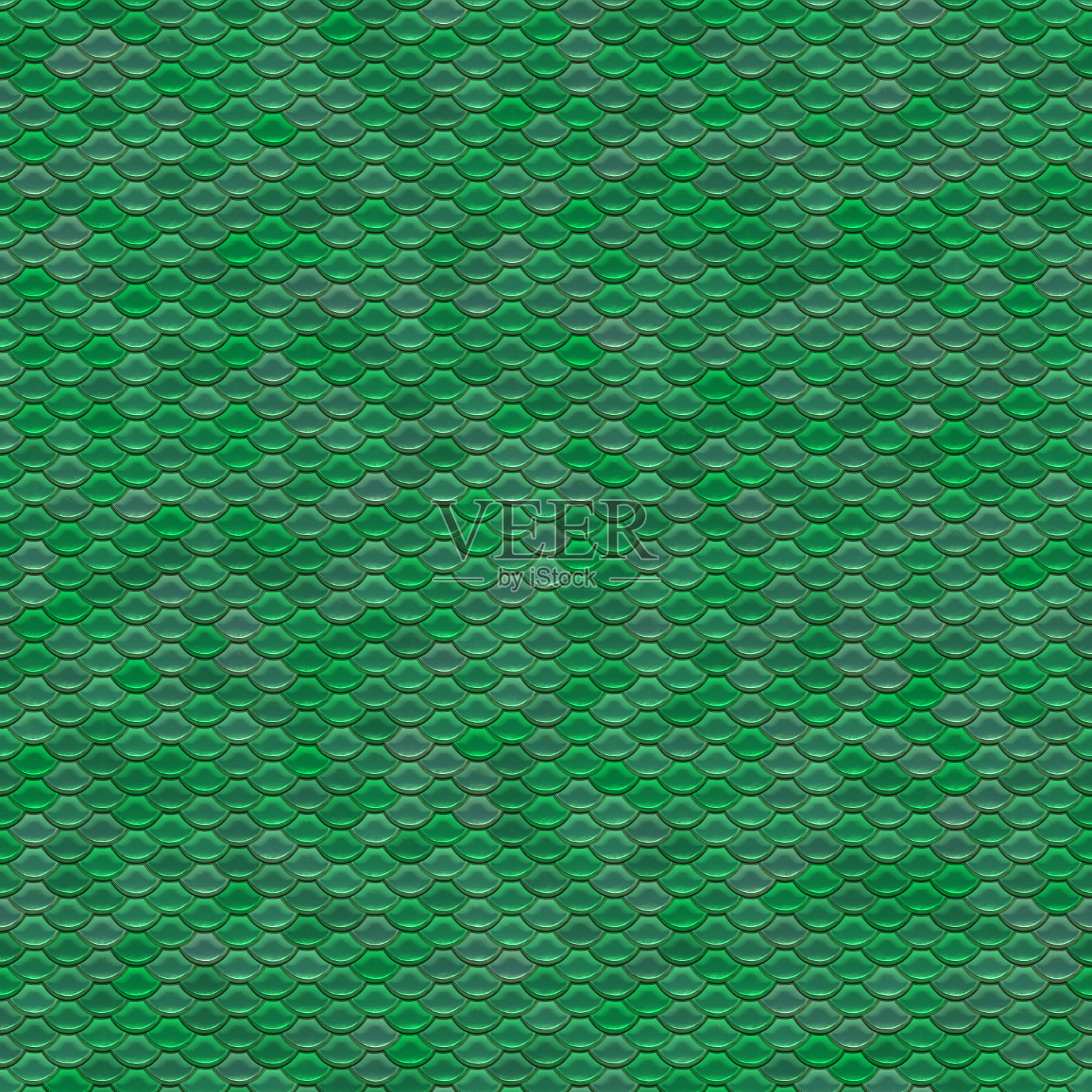 规模照片摄影图片