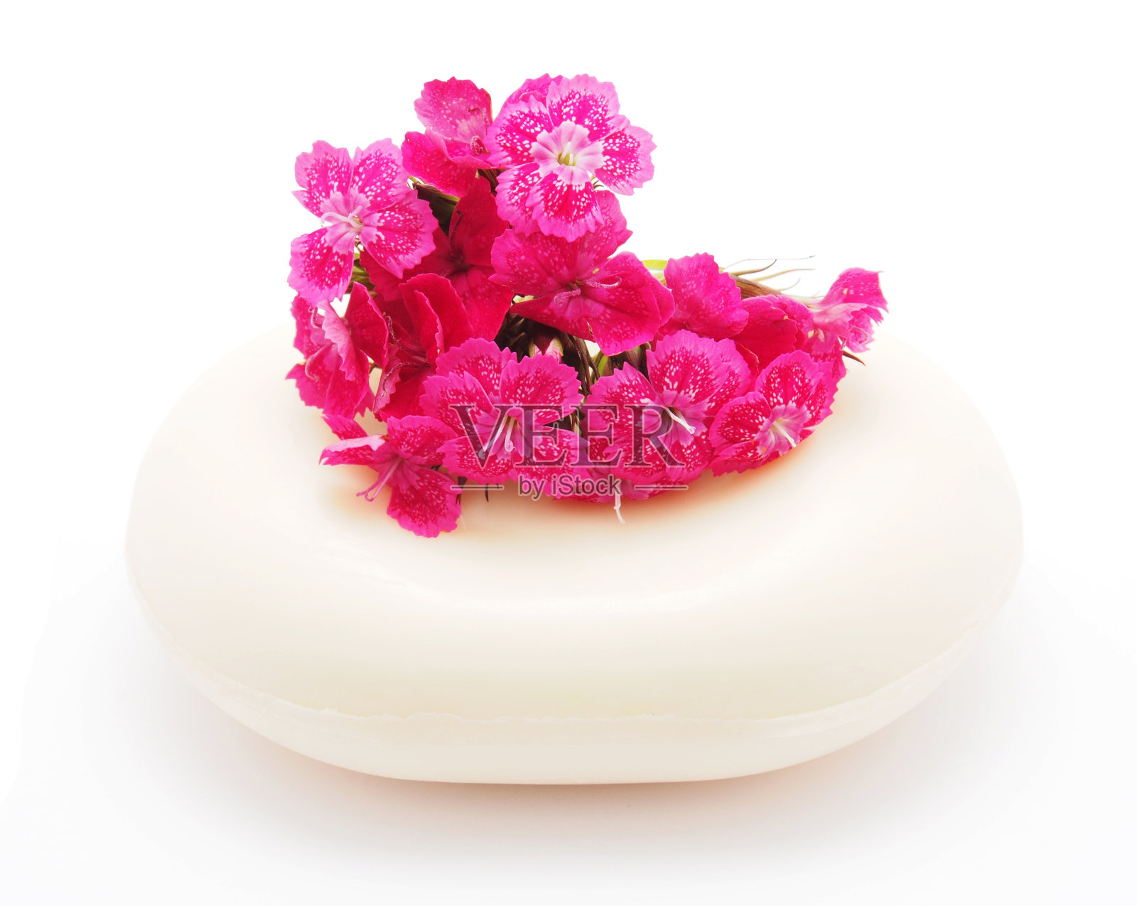 白色背景上的康乃馨和肥皂照片摄影图片