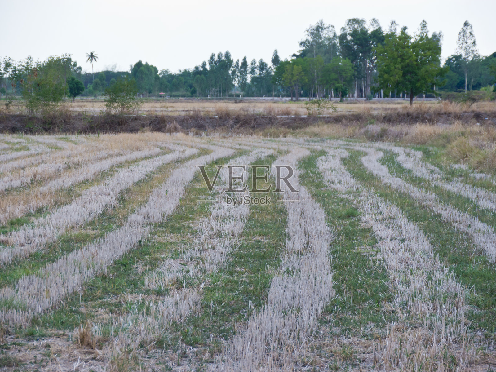 旱地照片摄影图片