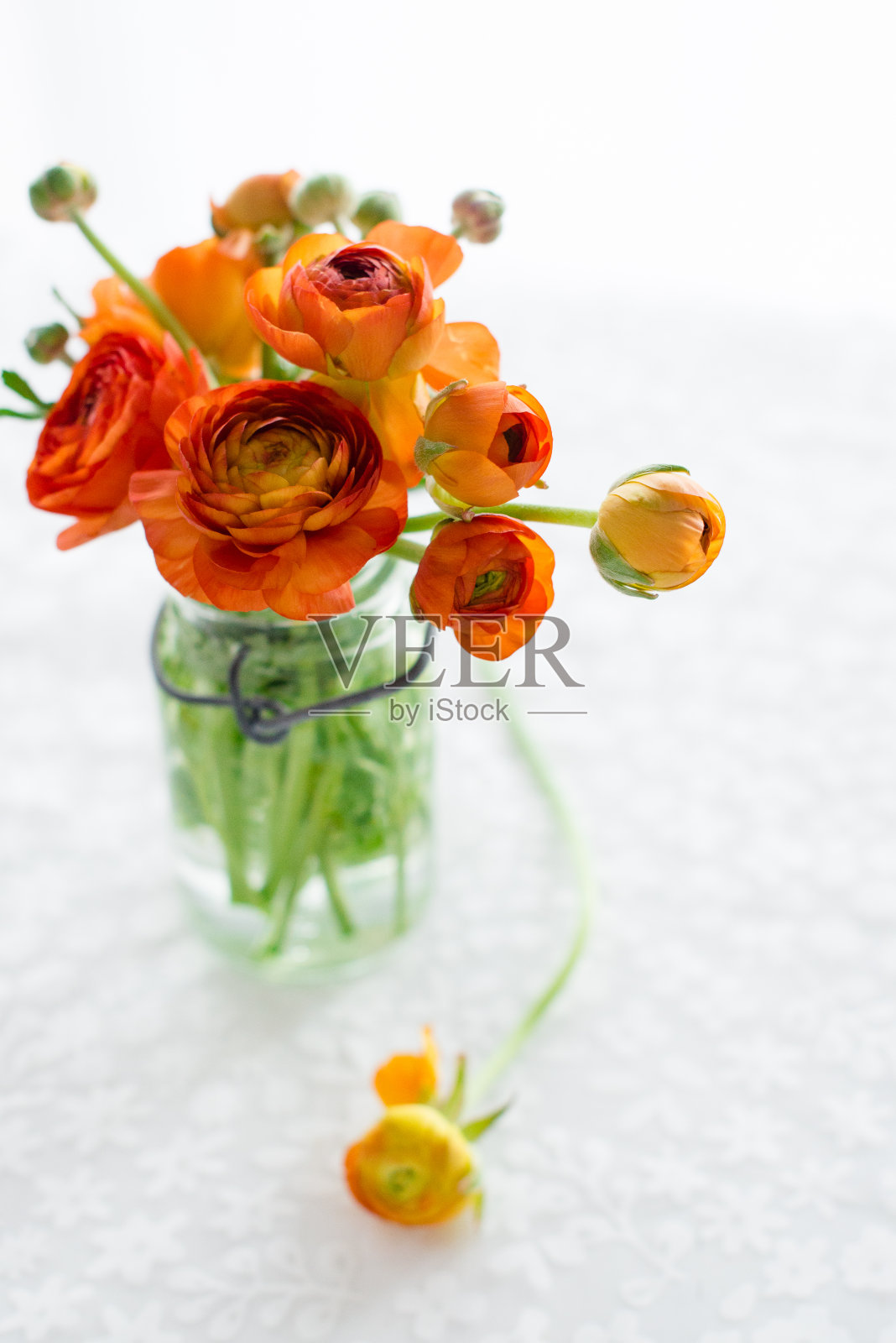 橙毛茛插花照片摄影图片