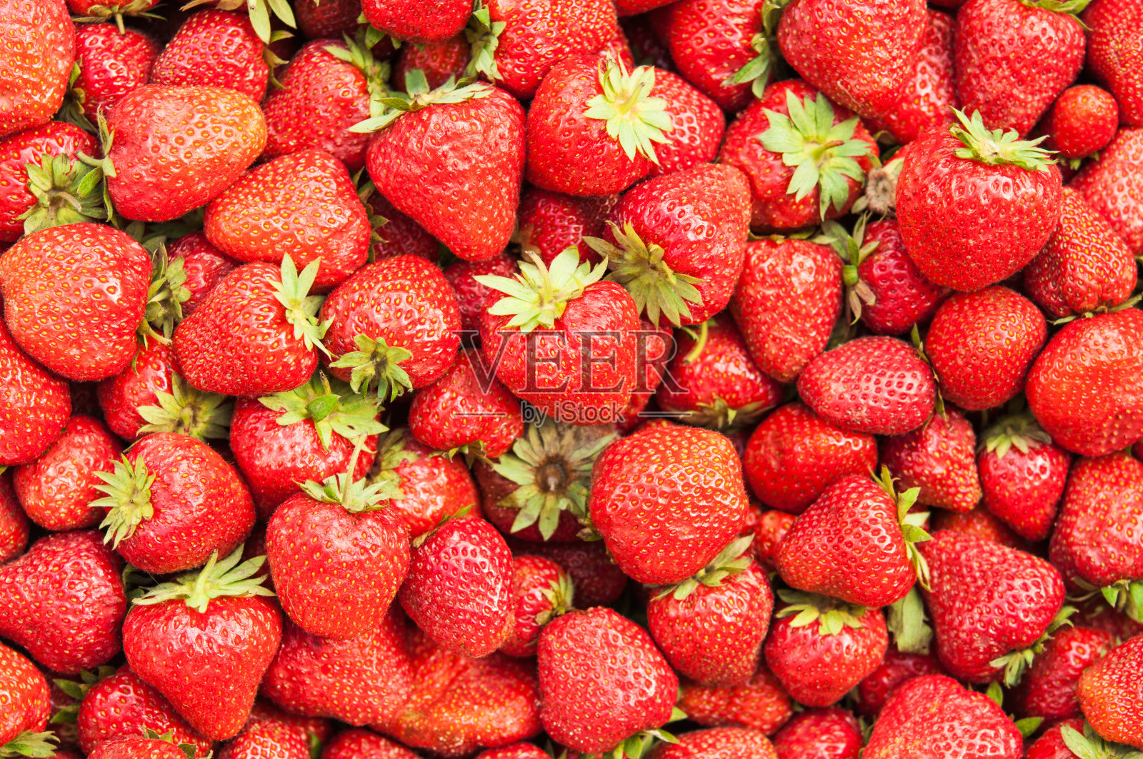 新鲜的红草莓照片摄影图片