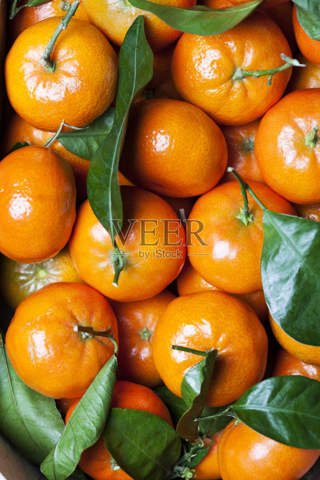 橘子照片摄影图片