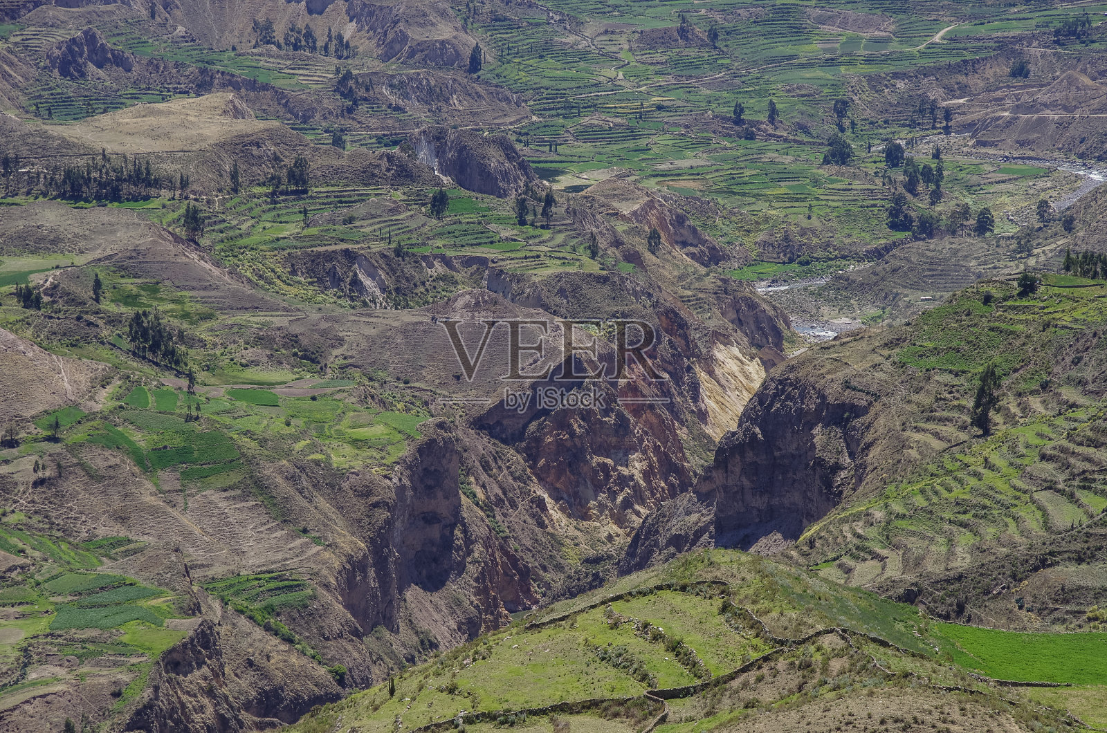 科尔卡峡谷全景，秘鲁，南美洲。照片摄影图片