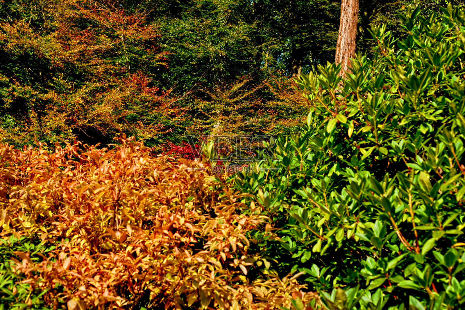 秋天的风景照片摄影图片