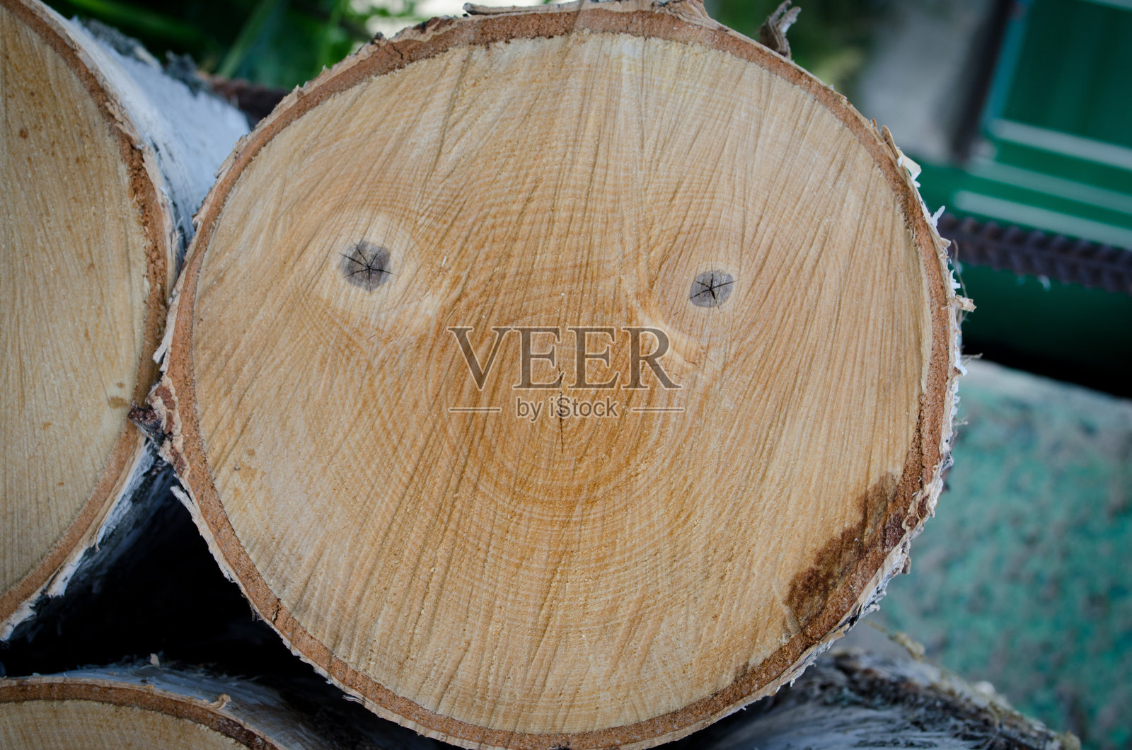 树上的图案照片摄影图片