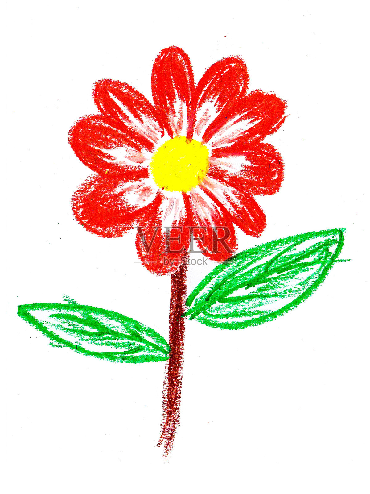 花插画图片素材