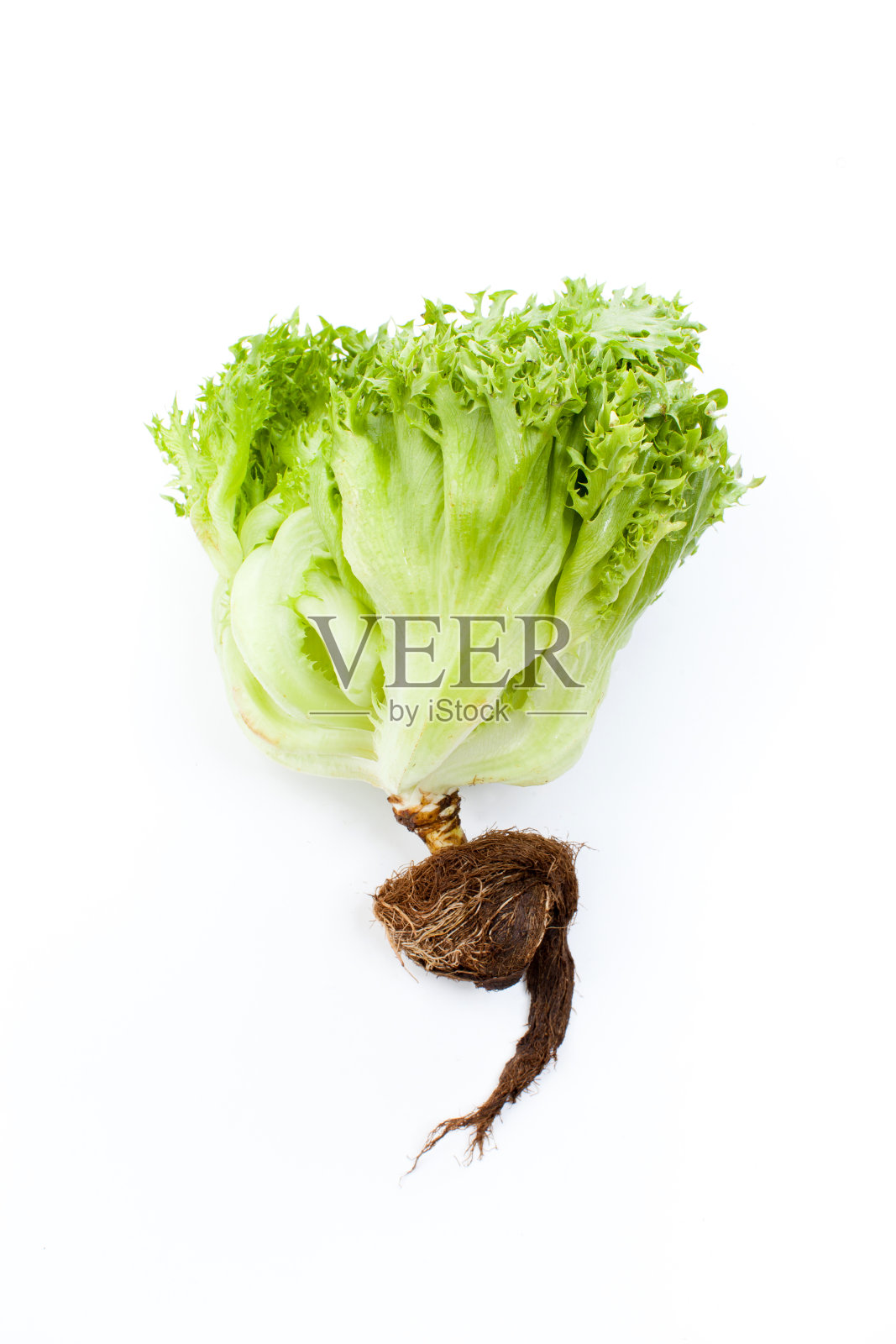 白色背景上的褶边冰山照片摄影图片