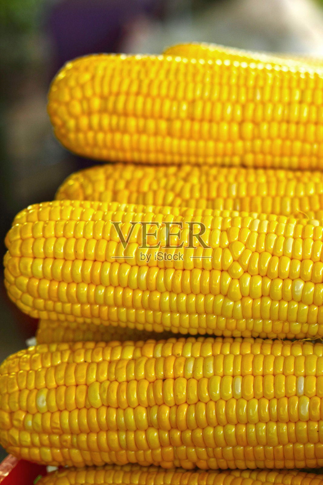 市场上成排摆放的甜玉米照片摄影图片
