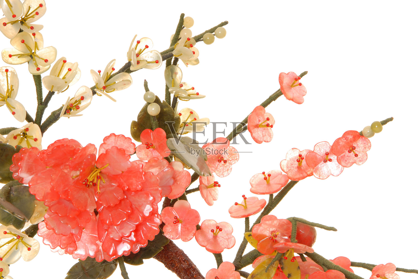 玉樱花照片摄影图片