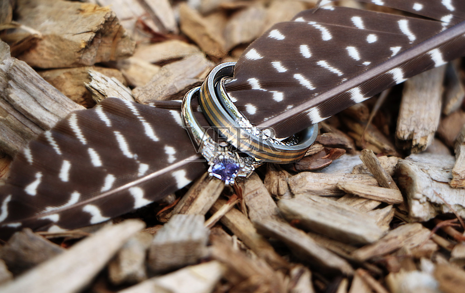 结婚戒指羽毛照片摄影图片