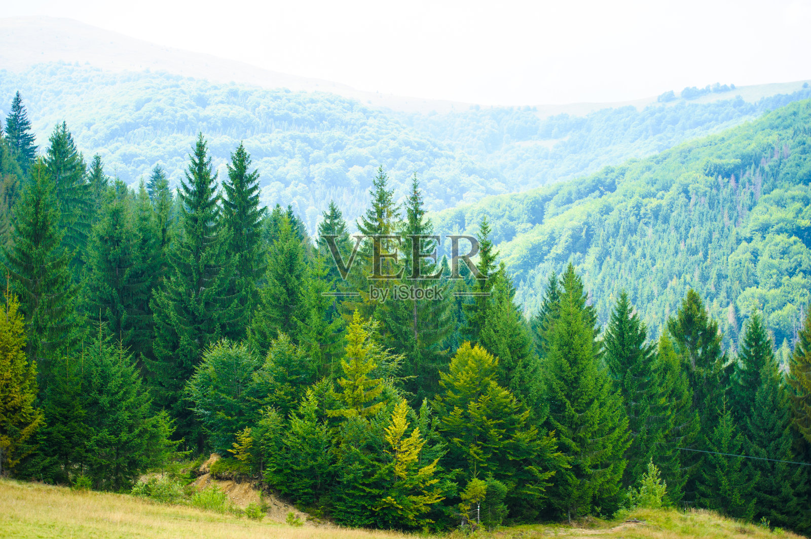 喀尔巴阡山脉的夏季，乌克兰，欧洲照片摄影图片