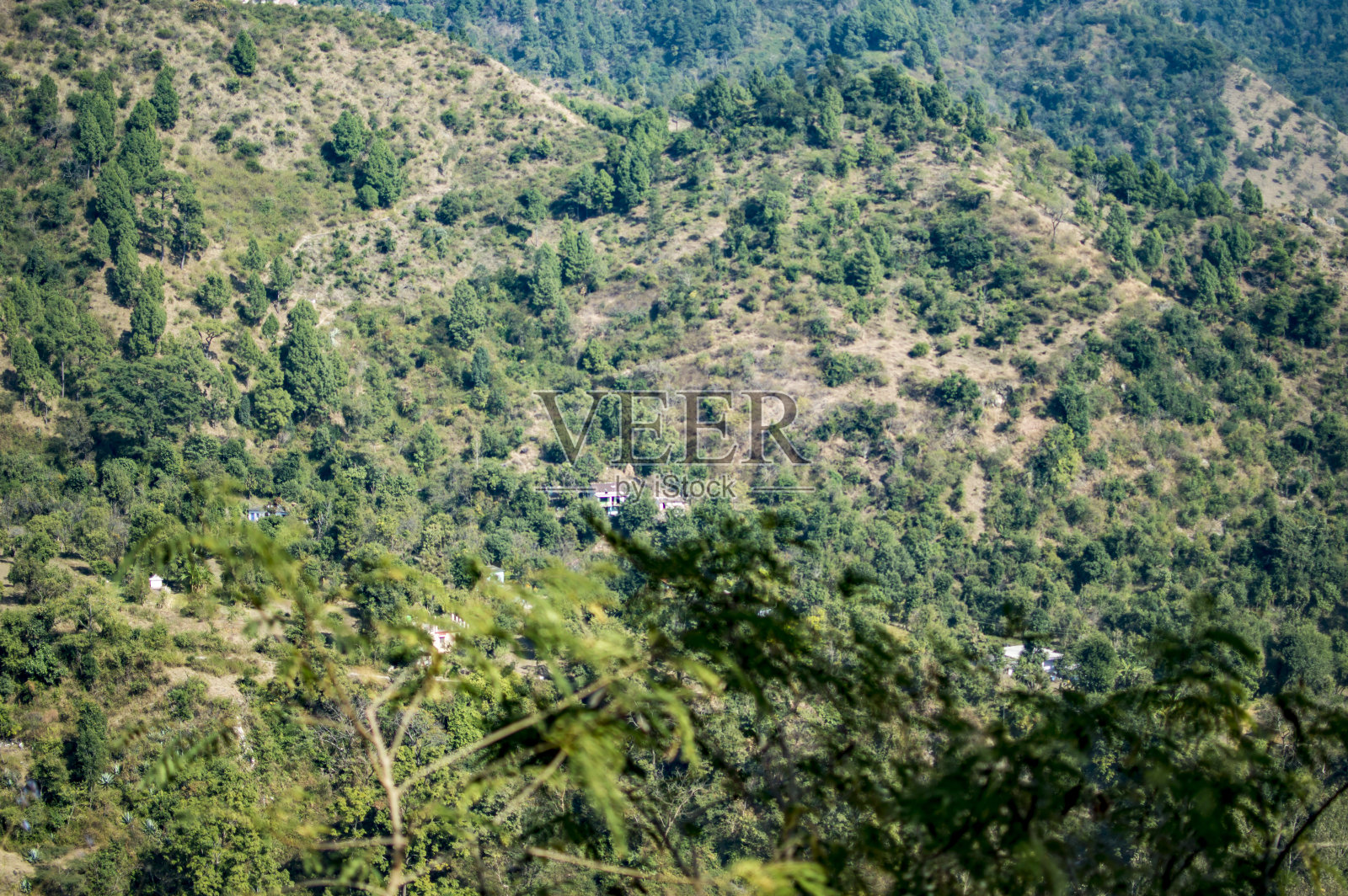 在喜马拉雅山脉的丛林深处照片摄影图片