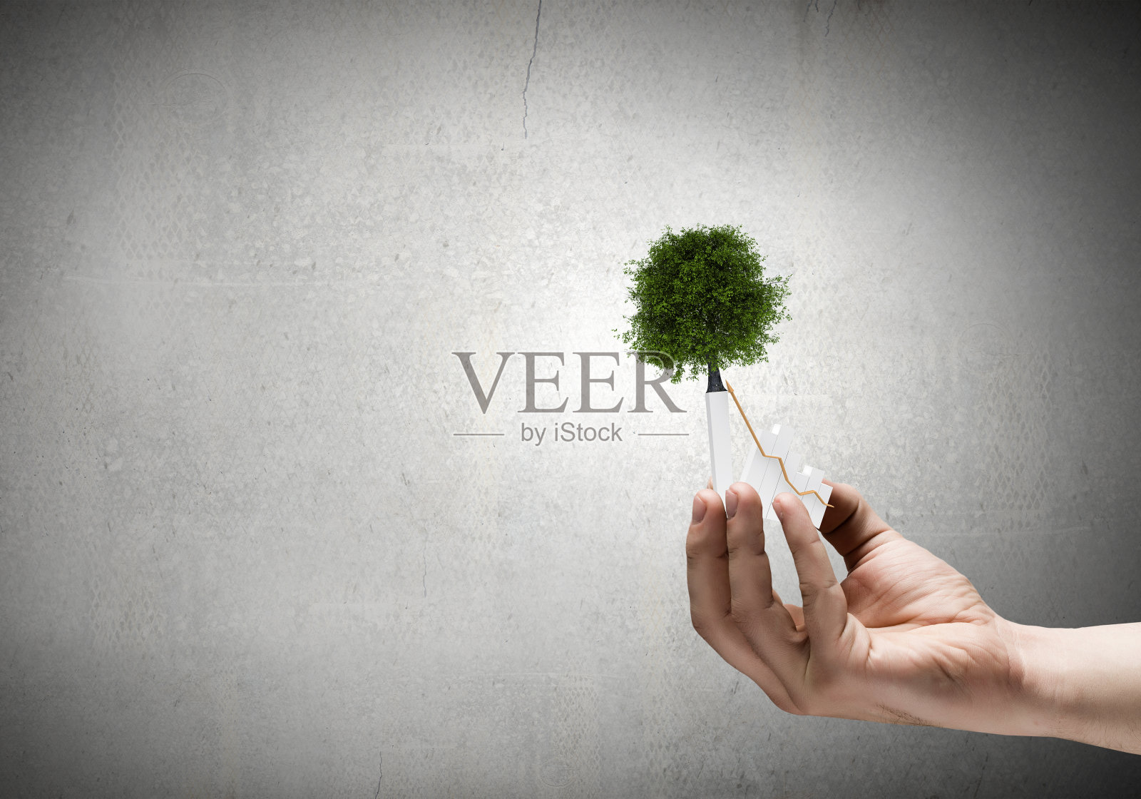 发芽的手照片摄影图片