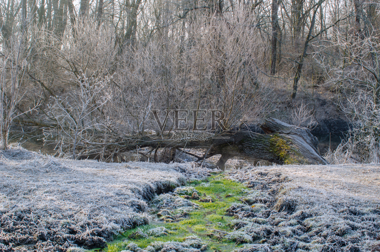 冬天温暖的小溪照片摄影图片